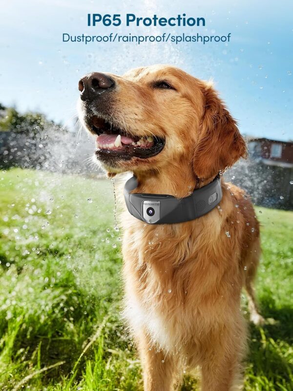 Smart GPS Dog Tracker Collar 4K Live View Camera - Image 3
